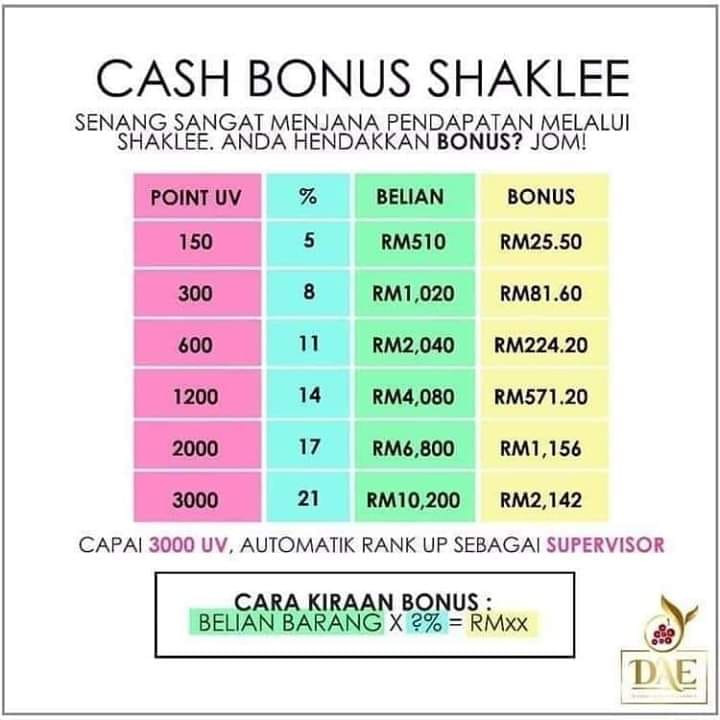 cash rebate